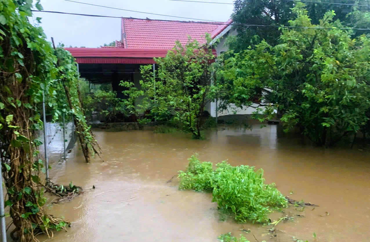 Nhà sập, nhiều nơi chìm trong &quot;biển&quot; nước khi bão số 10 Bualoi đổ bộ- Ảnh 9.