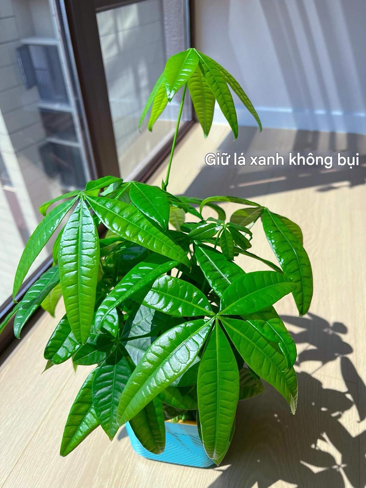 10 chi tiết 