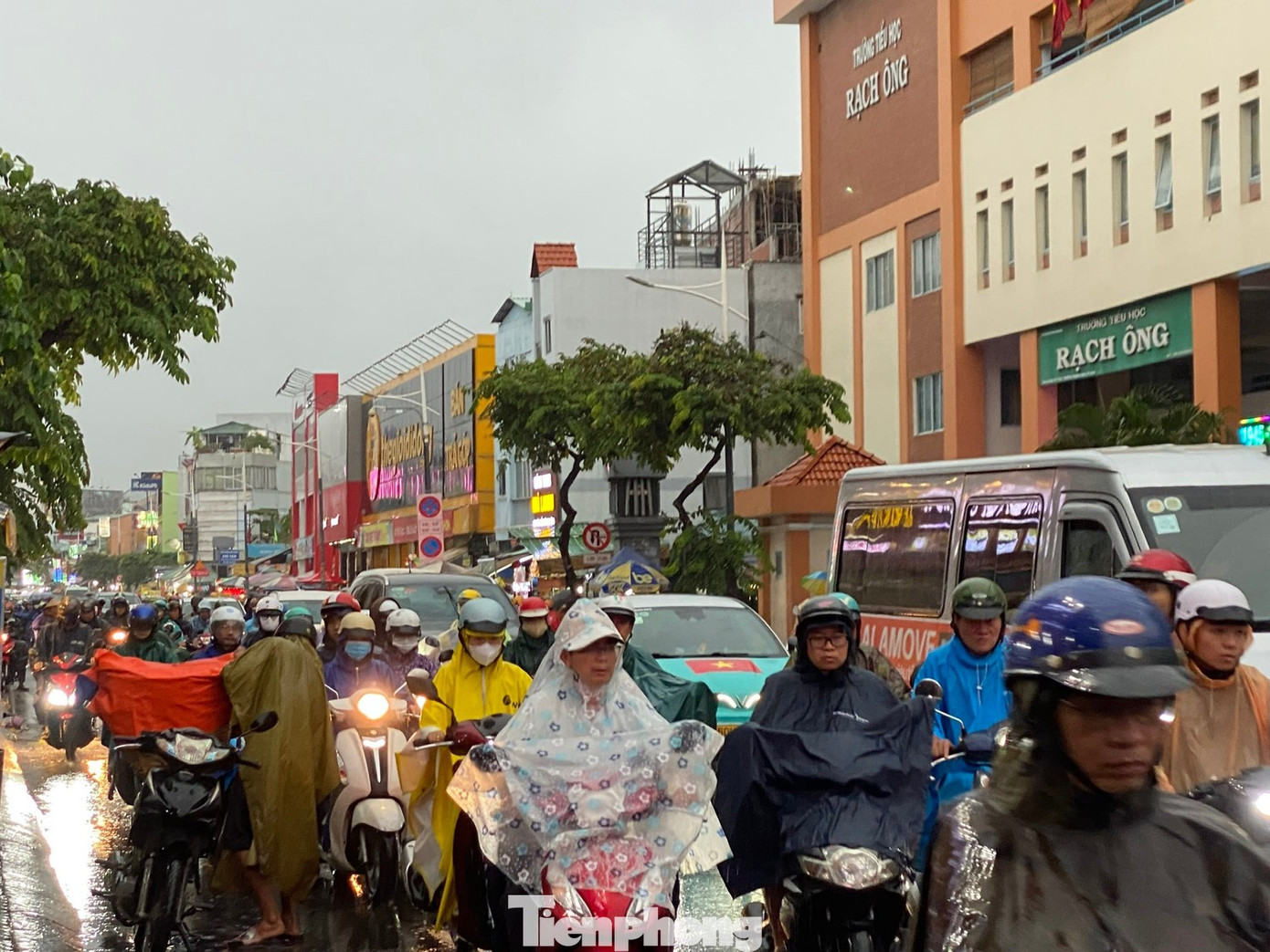 TPHCM sẽ tạm 'đóng cửa' trường học nếu mưa bão phức tạp - Ảnh 1.