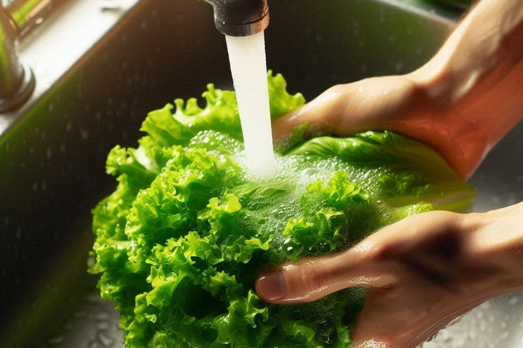 Một phụ nữ 33 tuổi ăn rau diếp mỗi bữa, 3 tháng sau đi khám sức khỏe bác sĩ "trợn mắt": "Cô đã ăn gì?"- Ảnh 2. Một phụ nữ 33 tuổi ăn rau diếp mỗi bữa, 3 tháng sau đi khám sức khỏe bác sĩ "trợn mắt": "Cô đã ăn gì?"- Ảnh 2.