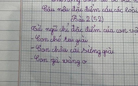 Học sinh tiểu học tả con gà, sáng tạo ra 1 từ khiến nhiều người tra từ điển muốn ngất vẫn không ra đáp án- Ảnh 1. Học sinh tiểu học tả con gà, sáng tạo ra 1 từ khiến nhiều người tra từ điển muốn ngất vẫn không ra đáp án- Ảnh 1.