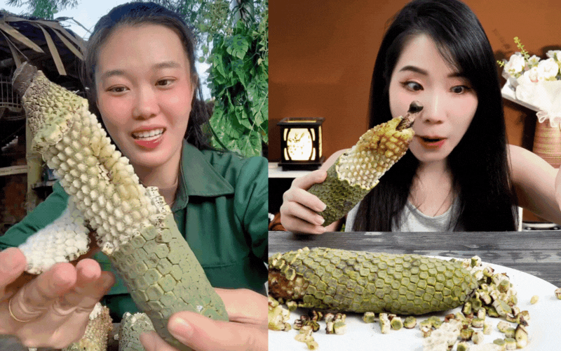 &quot;7 năm chờ mới ăn được một quả&quot;: Loại cây nhà giàu trồng làm cảnh nay thành đặc sản mukbang gây sốt MXH - Ảnh 1.
