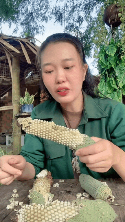 "7 năm chờ mới ăn được một quả": Loại cây nhà giàu trồng làm cảnh nay thành đặc sản mukbang gây sốt MXH- Ảnh 10.