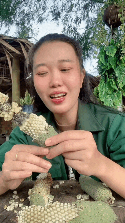 "7 năm chờ mới ăn được một quả": Loại cây nhà giàu trồng làm cảnh nay thành đặc sản mukbang gây sốt MXH- Ảnh 9.