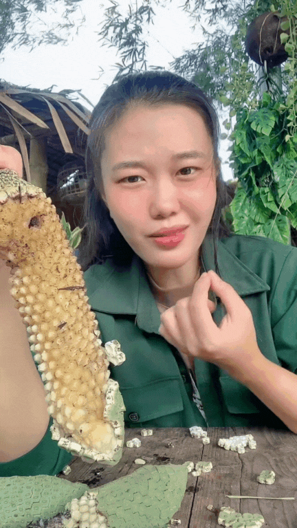 "7 năm chờ mới ăn được một quả": Loại cây nhà giàu trồng làm cảnh nay thành đặc sản mukbang gây sốt MXH- Ảnh 12.