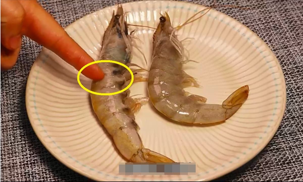 Chủ tiệm hải sản nói thẳng: “Chỉ người không biết mới mua 4 loại tôm này, cực hại sức khỏe, nhớ tránh xa&quot;- Ảnh 2.