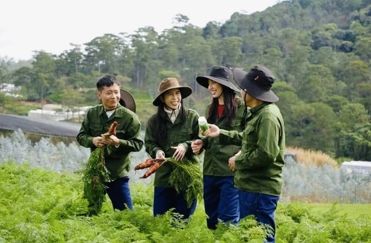 Bị can Lê Thành Công khai đã lên ý tưởng sản xuất kẹo rau củ để dành tặng hoa hậu Thùy Tiên vì Tiên không thích ăn rau - Ảnh 2. Bị can Lê Thành Công khai đã lên ý tưởng sản xuất kẹo rau củ để dành tặng hoa hậu Thùy Tiên vì Tiên không thích ăn rau - Ảnh 2.