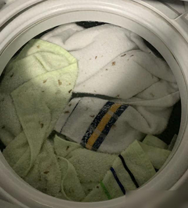 aa1m5y0d-1757340974264789172983-1757410500212-17574105002762040507025.jpg