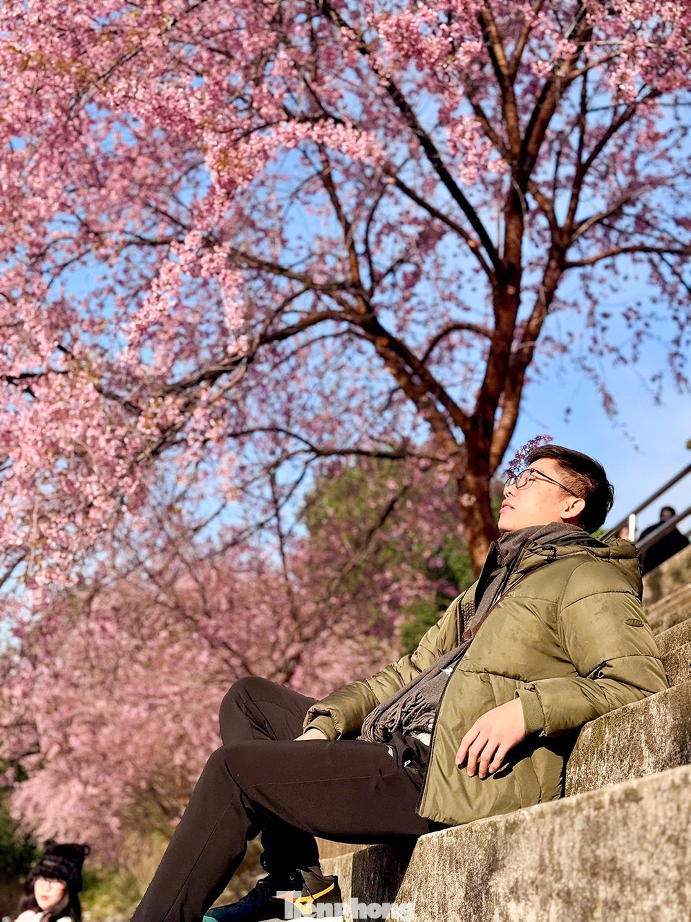 Hoa Tớ D&agrave;y nở rộ tại L&ocirc; L&ocirc; Chải thu h&uacute;t du kh&aacute;ch check-in m&ugrave;a xu&acirc;n sớm - Ảnh 10.