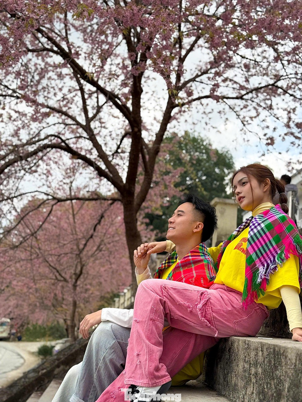 Hoa Tớ D&agrave;y nở rộ tại L&ocirc; L&ocirc; Chải thu h&uacute;t du kh&aacute;ch check-in m&ugrave;a xu&acirc;n sớm - Ảnh 6.