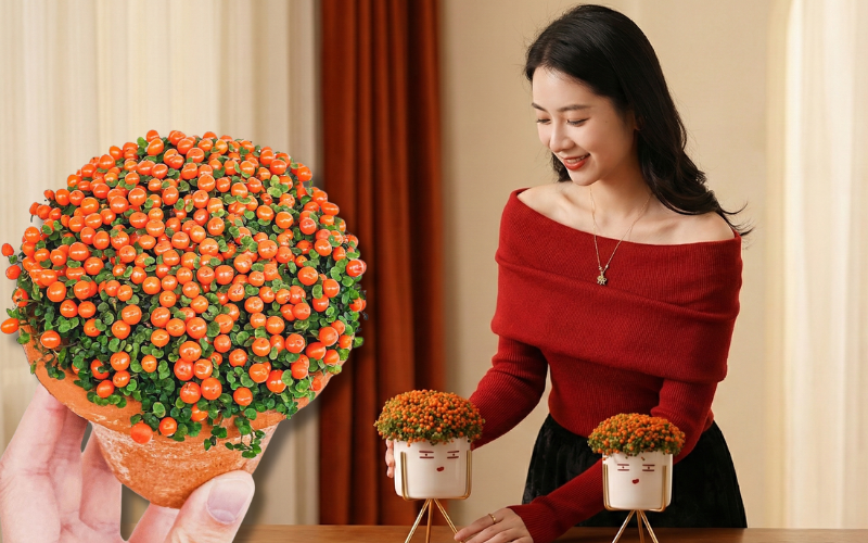 Chưng Tết đừng chỉ mua hoa: Có một loại cây