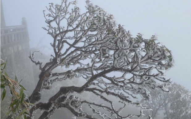 Miền Bắc lại sắp đón không khí lạnh cực mạnh giữa tháng 1, dự báo nơi rét đậm nhất - Ảnh 2.