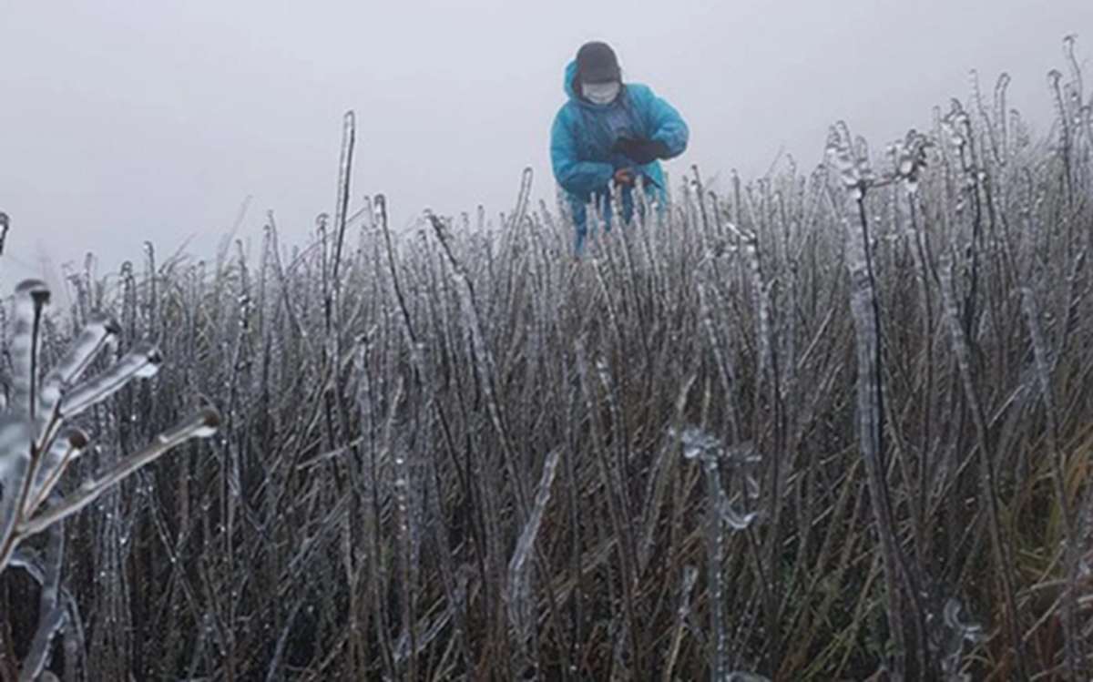 Miền Bắc lại sắp đ&oacute;n kh&ocirc;ng kh&iacute; lạnh cực mạnh giữa th&aacute;ng 1, dự b&aacute;o nơi r&eacute;t đậm nhất - Ảnh 1.