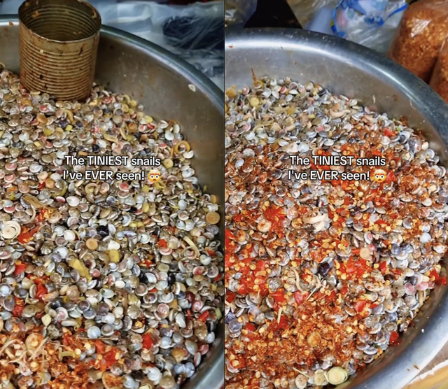 Bỏ 50.000 đồng mua m&oacute;n ốc lạ ở Việt Nam, kh&aacute;ch T&acirc;y mỏi nhừ tay v&igrave; ăn m&atilde;i kh&ocirc;ng xong- Ảnh 3.