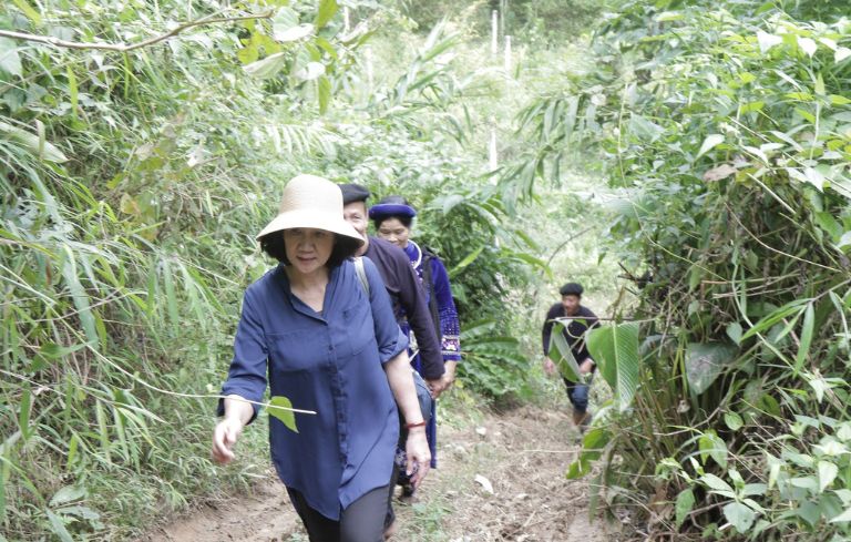 TTƯT, Th.sĩ, B&aacute;c sĩ Nguyễn Thị Tuyết Lan - Hơn 40 năm chữa bệnh v&agrave; g&igrave;n giữ y học d&acirc;n tộc- Ảnh 5.