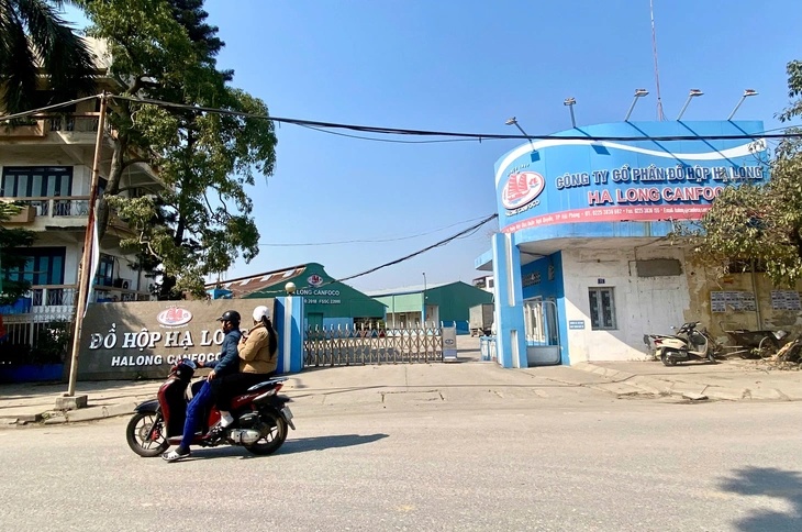 Vụ heo bệnh tại C&ocirc;ng ty đồ hộp Hạ Long: Thịt nhiễm dịch tả heo ch&acirc;u Phi v&agrave; Salmonella - Ảnh 1.