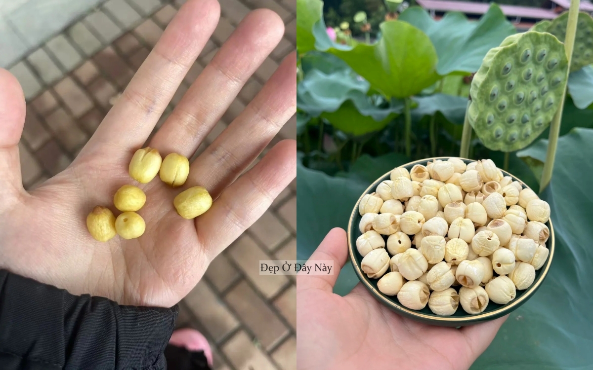 Tết đến ăn hạt theo cách này không lo tăng cân mà còn khiến da đẹp lên thấy rõ - Ảnh 5.