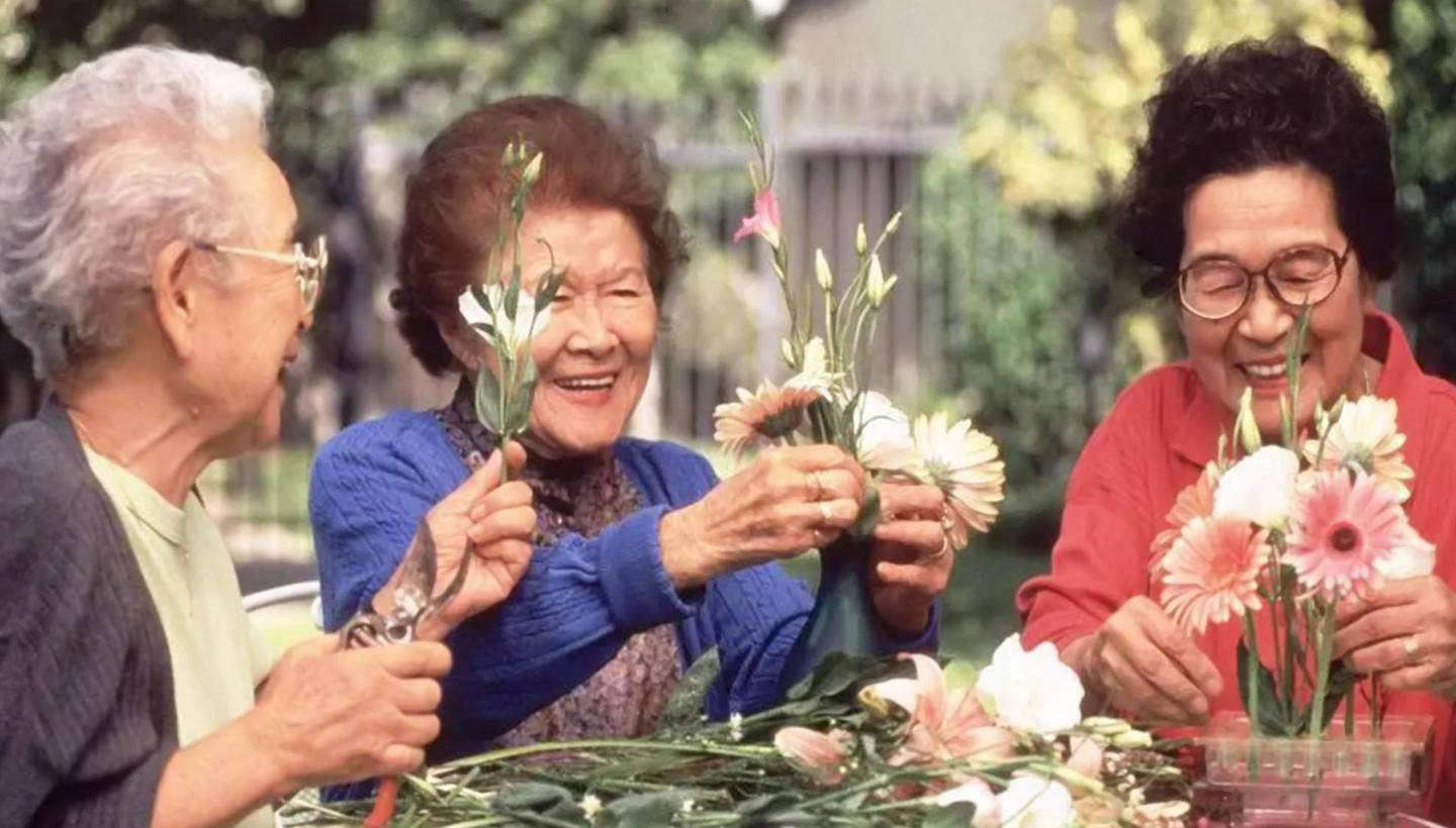 Sau nghỉ hưu, t&ocirc;i đ&atilde; qu&aacute; cả tin khi tham gia c&aacute;c nh&oacute;m người cao tuổi, v&agrave; c&aacute;i gi&aacute; phải trả kh&ocirc;ng hề nhỏ - Ảnh 4.