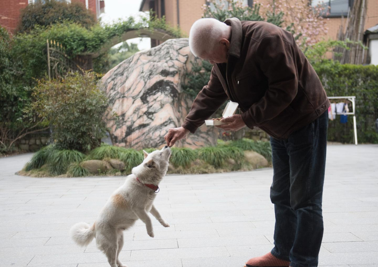 Sau nghỉ hưu, t&ocirc;i đ&atilde; qu&aacute; cả tin khi tham gia c&aacute;c nh&oacute;m người cao tuổi, v&agrave; c&aacute;i gi&aacute; phải trả kh&ocirc;ng hề nhỏ - Ảnh 5.