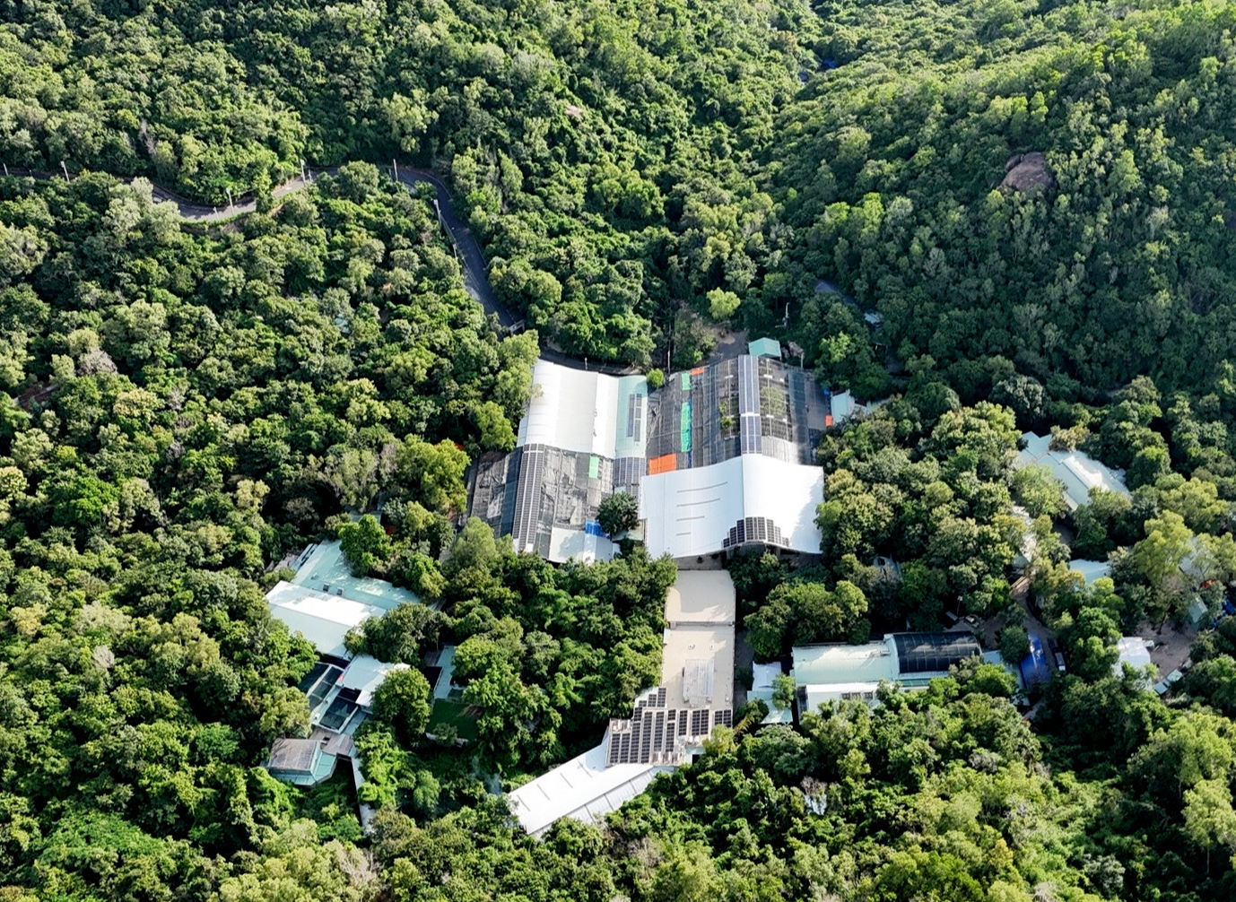 &Ocirc;ng Vương Tấn Việt, trụ tr&igrave; ch&ugrave;a Phật Quang kiện đ&ograve;i hơn 71.000m2 đất - Ảnh 1.