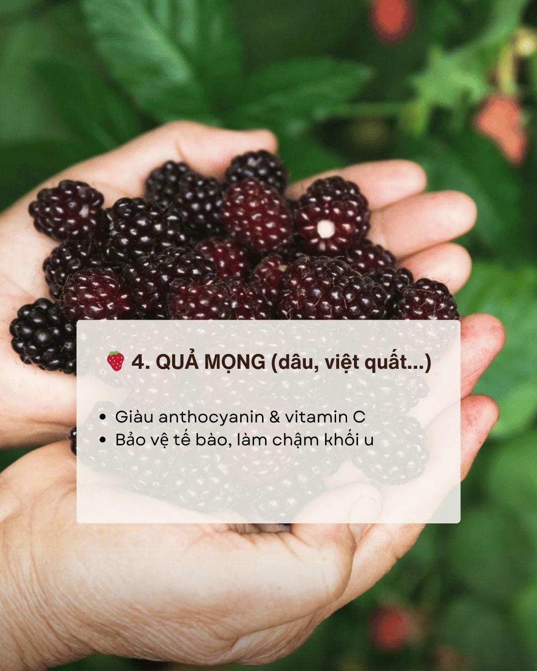 Kh&ocirc;ng phải thuốc bổ nhưng ăn đ&uacute;ng 7 thực phẩm n&agrave;y gi&uacute;p giảm nguy cơ ung thư 