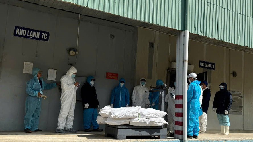 Vụ tuồn lợn dịch tại Cty Đồ hộp Hạ Long: Điều tra h&agrave;nh vi Nhận hối lộ - Ảnh 6.