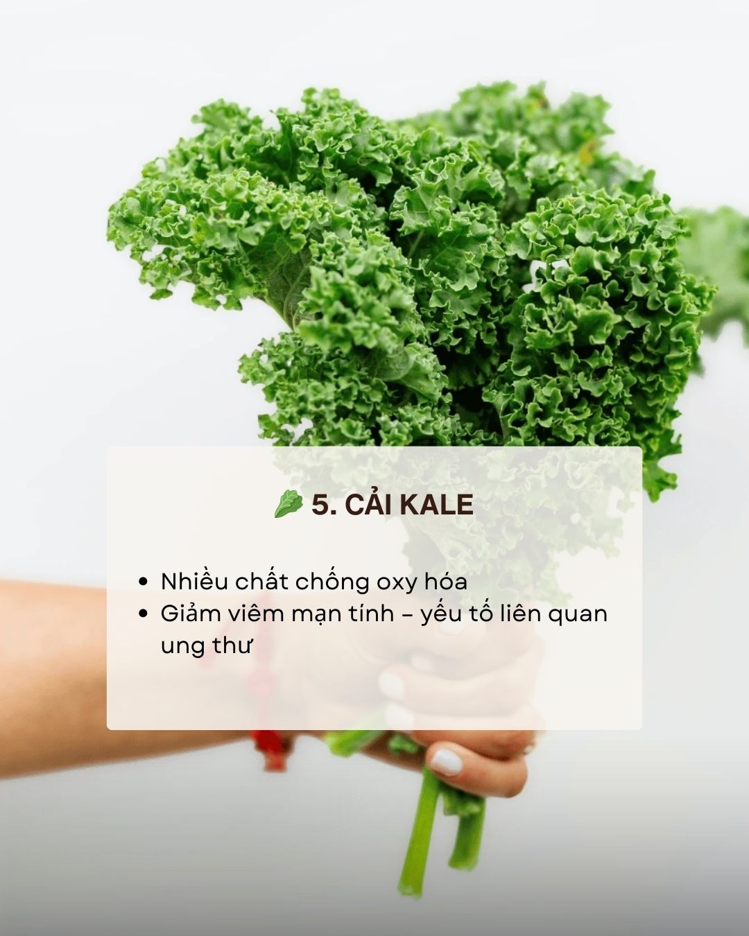 Kh&ocirc;ng phải thuốc bổ nhưng ăn đ&uacute;ng 7 thực phẩm n&agrave;y gi&uacute;p giảm nguy cơ ung thư 