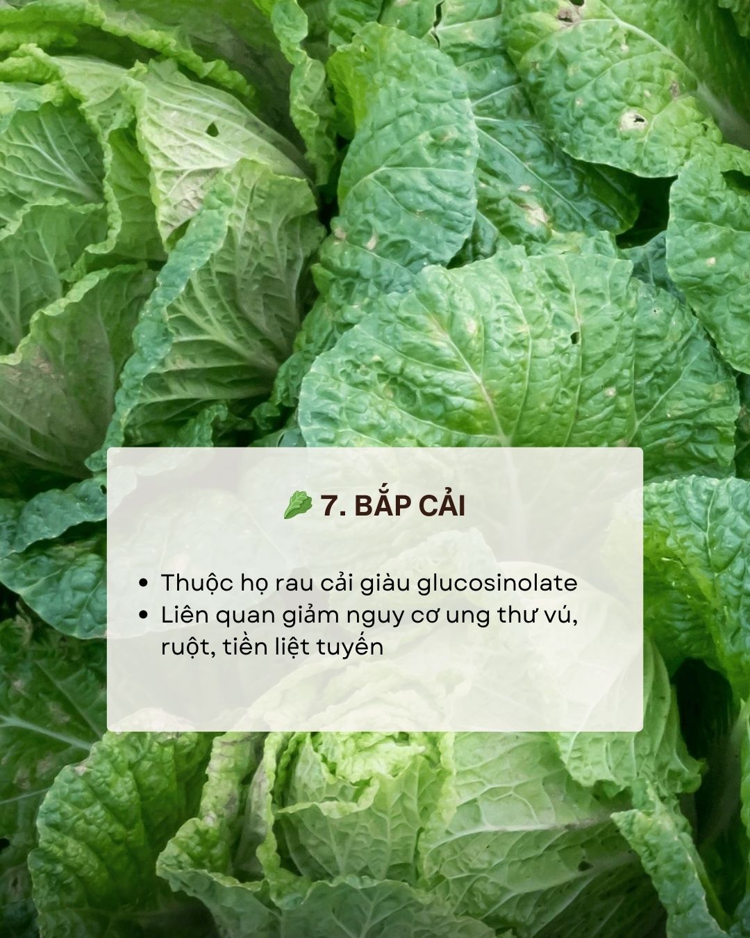 Kh&ocirc;ng phải thuốc bổ nhưng ăn đ&uacute;ng 7 thực phẩm n&agrave;y gi&uacute;p giảm nguy cơ ung thư 