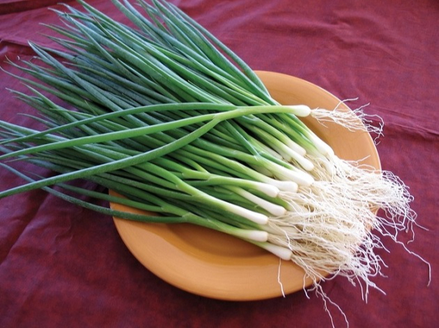 &Iacute;t người biết: Nhiều loại rau quen thuộc chứa &ldquo;kh&aacute;ng sinh tự nhi&ecirc;n&rdquo;, rất tốt cho sức khỏe khi trời lạnh - Ảnh 5.