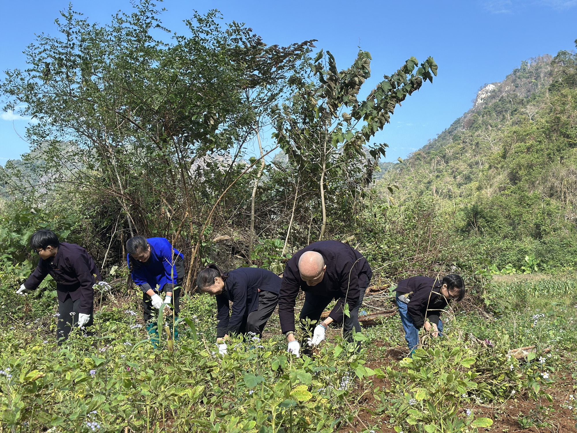 H&agrave;nh tr&igrave;nh 