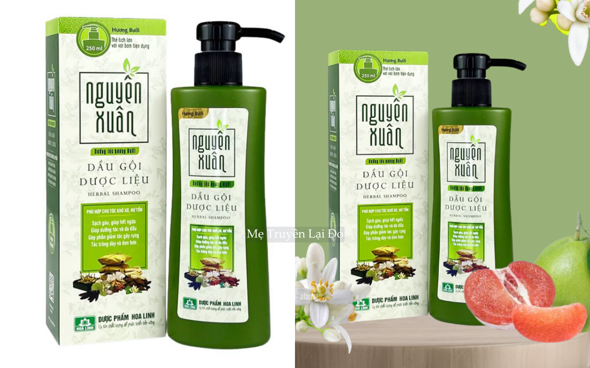 Mẹ t&ocirc;i tin d&ugrave;ng 5 dầu gội bưởi 