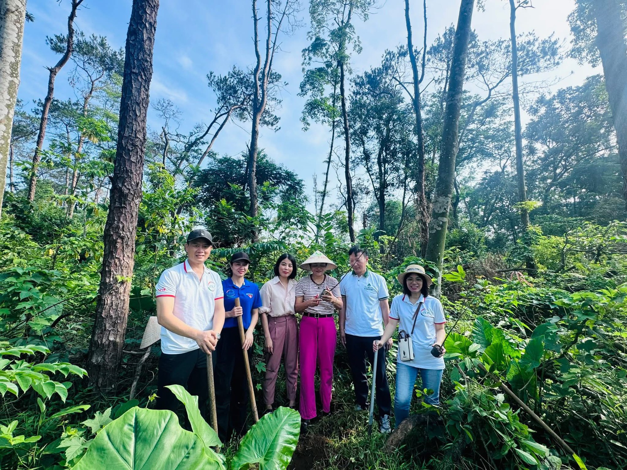 Ở Việt Nam, c&oacute; duy nhất một ng&ocirc;i trường c&oacute; hẳn khu rừng trong khu&ocirc;n vi&ecirc;n- Ảnh 6.