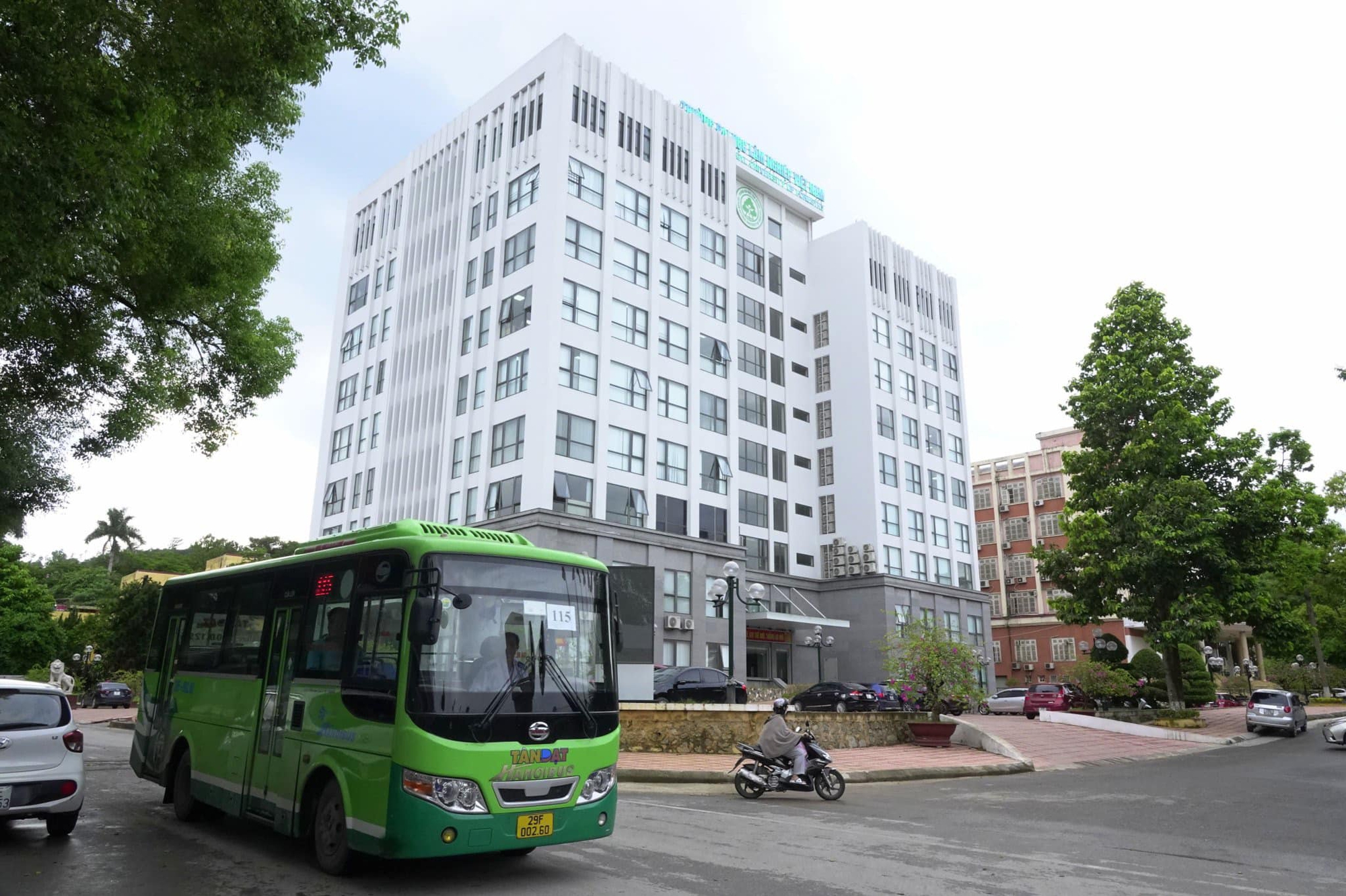 Ở Việt Nam, c&oacute; duy nhất một ng&ocirc;i trường c&oacute; hẳn khu rừng trong khu&ocirc;n vi&ecirc;n- Ảnh 1.