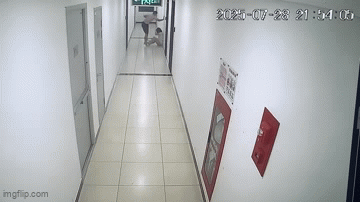 T&igrave;nh tiết mới vụ người đ&agrave;n &ocirc;ng đ&aacute;nh vợ thủng m&agrave;ng nhĩ, chấn động n&atilde;o ở chung cư - Ảnh 1.