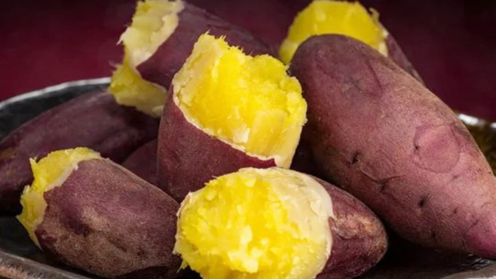 Kho dinh dưỡng từ khoai lang gi&uacute;p tăng tuổi thọ - Ảnh 1.