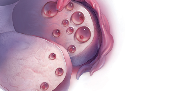 Buồng trứng - &ldquo;ch&igrave;a kh&oacute;a b&iacute; mật&rdquo; quyết định tuổi thọ v&agrave; cuộc sống của phụ nữ: Tại sao buồng trứng l&atilde;o h&oacute;a nhanh hơn c&aacute;c bộ phận kh&aacute;c? - Ảnh 3.