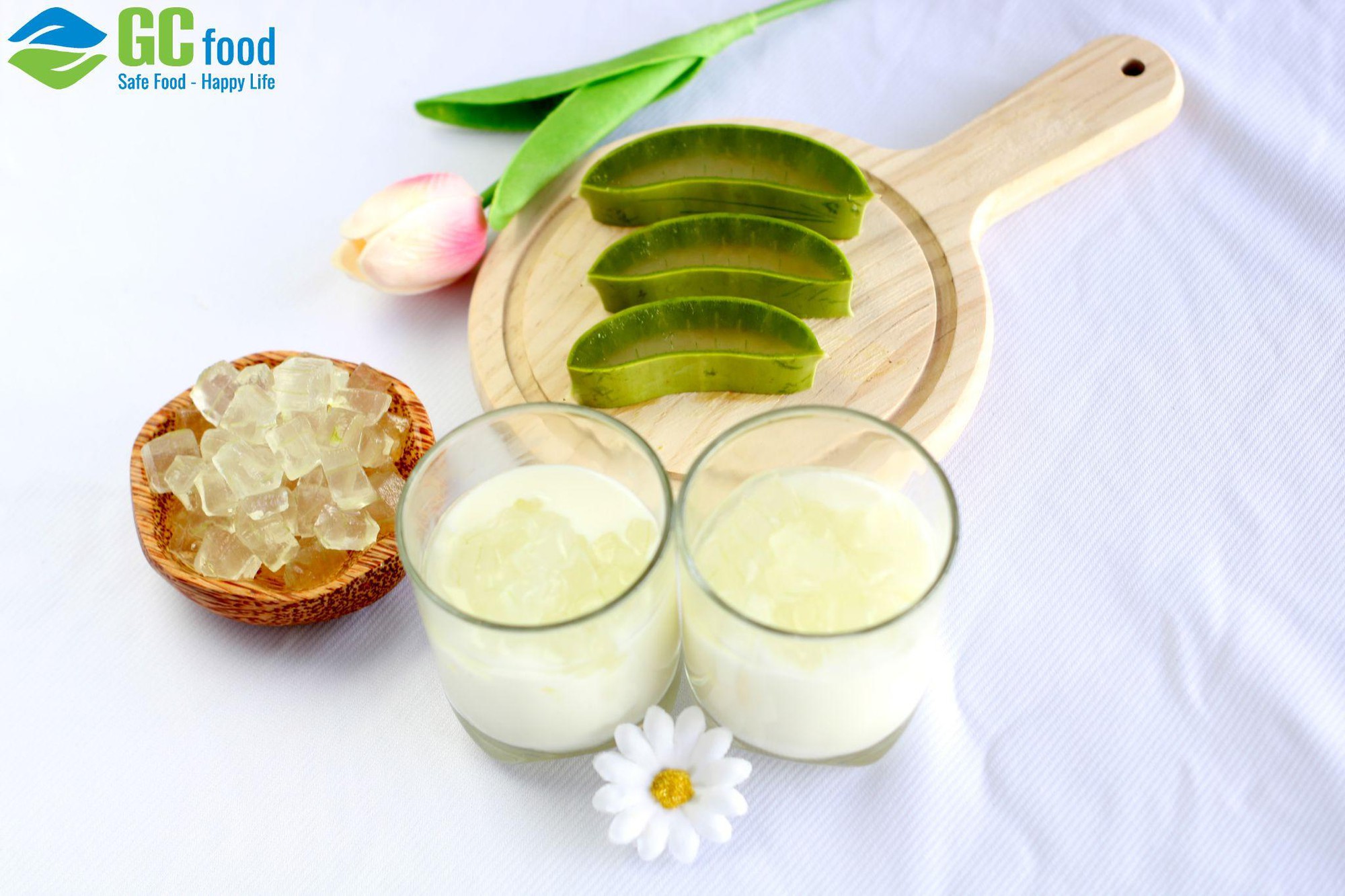 T&igrave;m hiểu về nha đam: C&ocirc;ng dụng, c&aacute;ch d&ugrave;ng v&agrave; những điều cần lưu &yacute;- Ảnh 2.