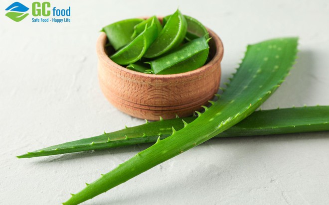 T&igrave;m hiểu về nha đam: C&ocirc;ng dụng, c&aacute;ch d&ugrave;ng v&agrave; những điều cần lưu &yacute;- Ảnh 1.