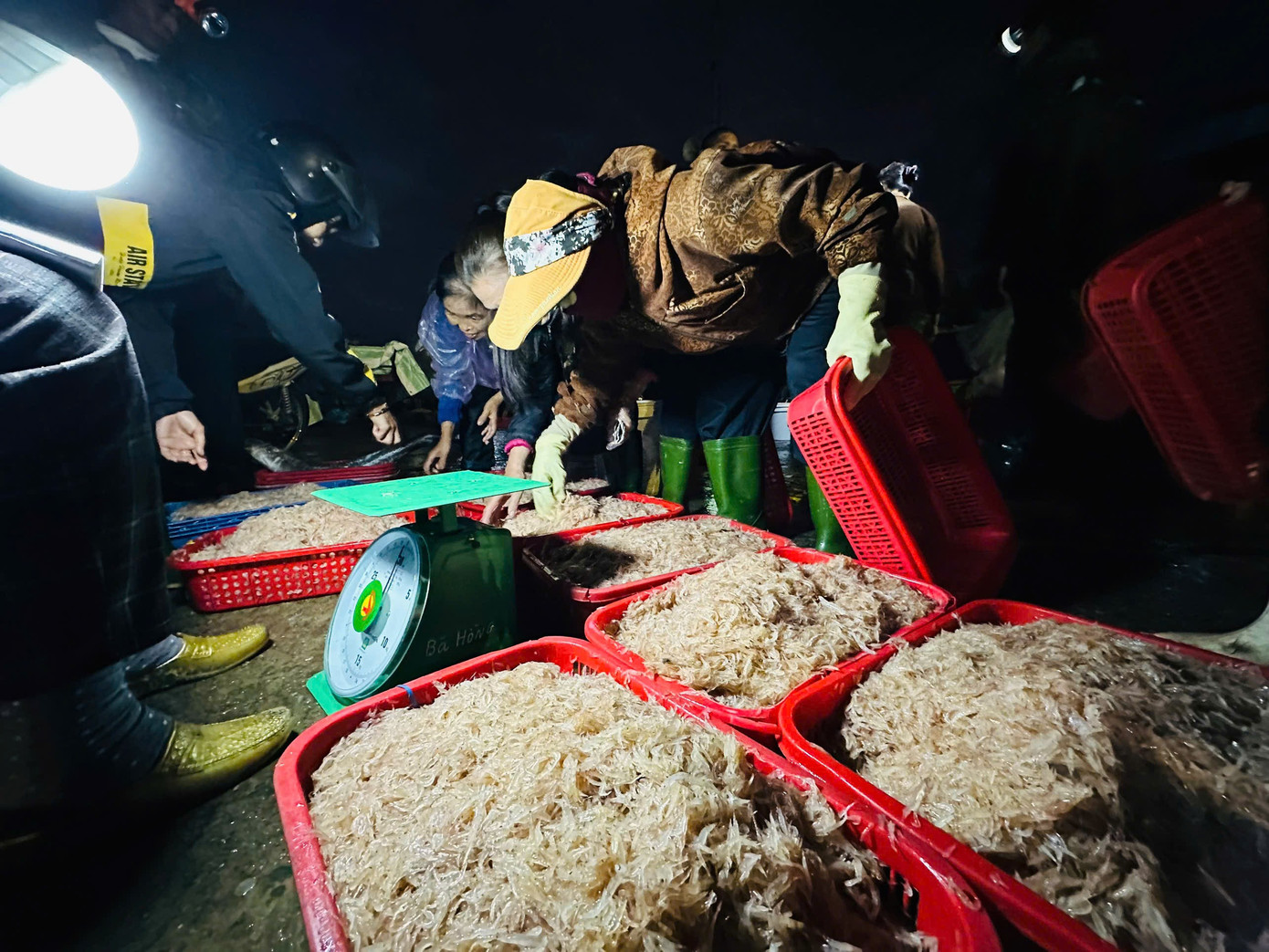 Ngư d&acirc;n H&agrave; Tĩnh tr&uacute;ng đậm lộc biển, thu nhập tiền triệu mỗi ng&agrave;y - Ảnh 11.