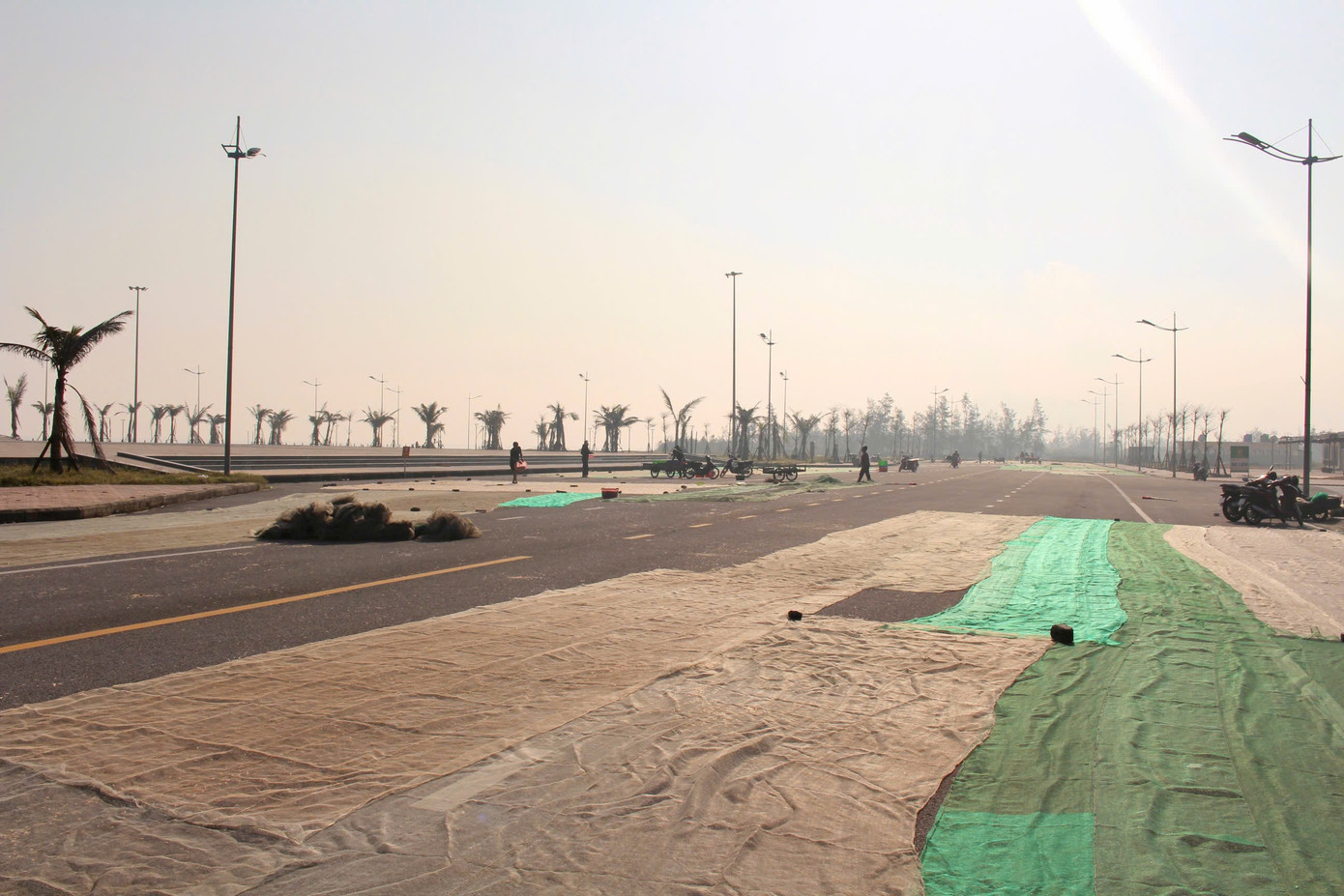 Ngư d&acirc;n H&agrave; Tĩnh tr&uacute;ng đậm lộc biển, thu nhập tiền triệu mỗi ng&agrave;y - Ảnh 4.