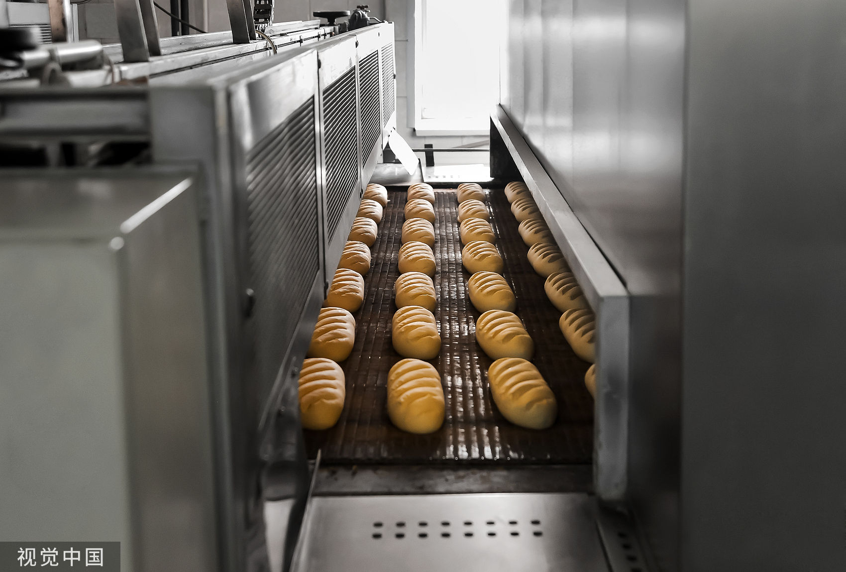 Đầu bếp b&aacute;nh ngọt 71 tuổi tử vong trong tai nạn m&aacute;y trộn bột tại Florida - Ảnh 1.