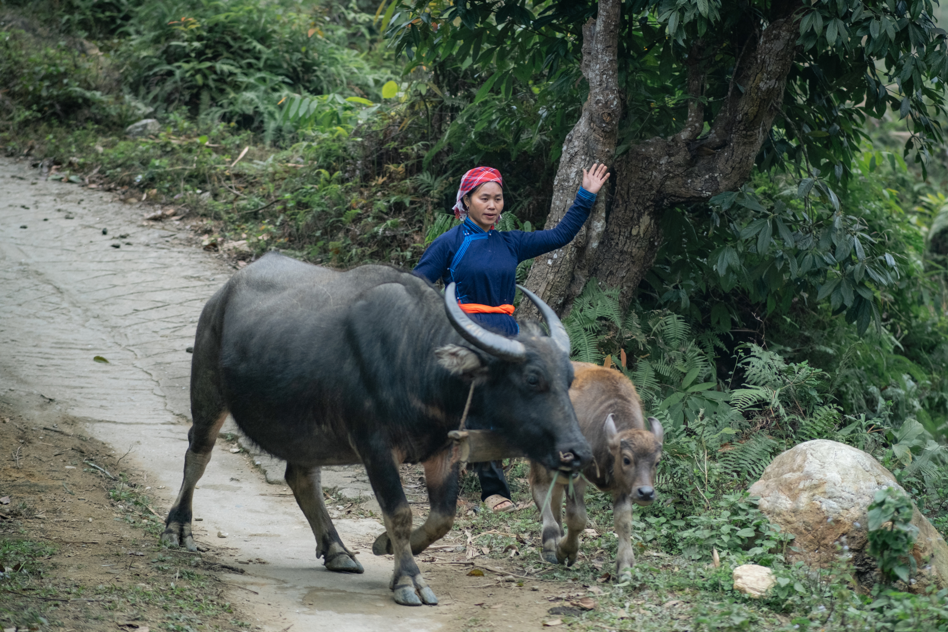Cầu g&igrave; hơn những buổi c&agrave; ph&ecirc; đậm đ&agrave; b&ecirc;n nhau: Khi Tết ở Bản Liền bắt đầu từ khoảnh khắc giản dị nhất- Ảnh 3.