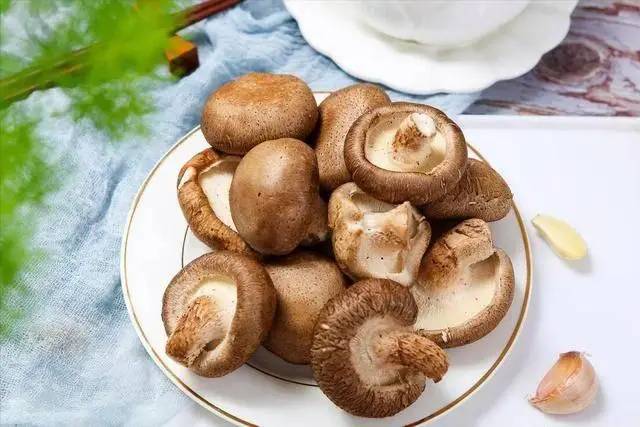 Ai cũng sợ ung thư, nhưng tế b&agrave;o ung thư lại 