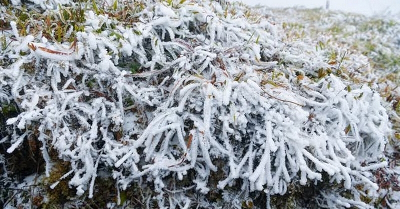 Gi&oacute; m&ugrave;a Đ&ocirc;ng Bắc 2026 tăng cường , miền Bắc tiếp tục đ&oacute;n mưa lớn v&agrave; r&eacute;t đậm - Ảnh 1.