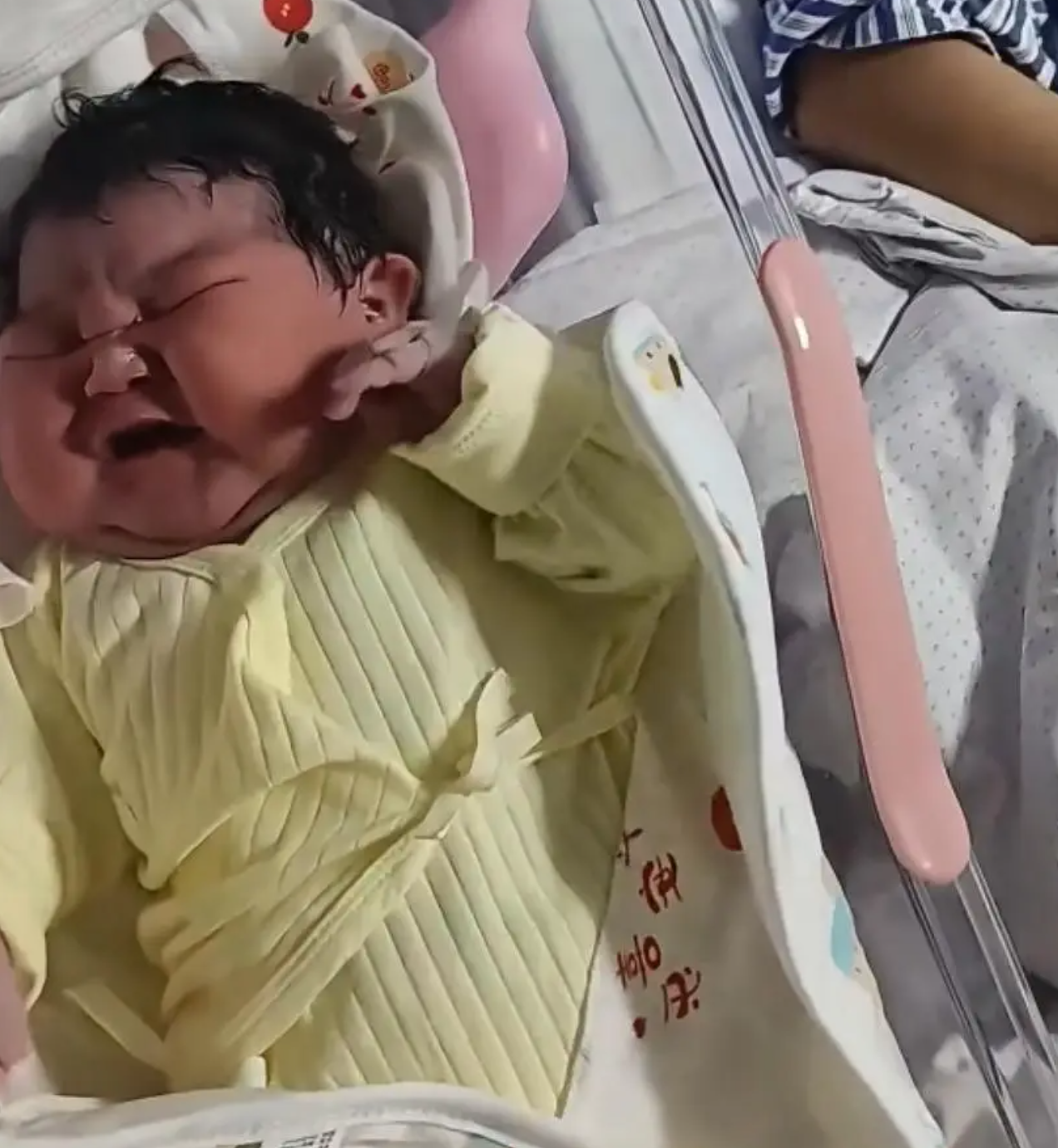 &ldquo;Em b&eacute; b&eacute;o&rdquo; g&acirc;y sốt, nặng 6,25kg khi ch&agrave;o đời &ndash; Cư d&acirc;n mạng kiểu: Đ&uacute;ng chuẩn ch&aacute;u đ&iacute;ch t&ocirc;n trong mơ của b&agrave; nội- Ảnh 1.