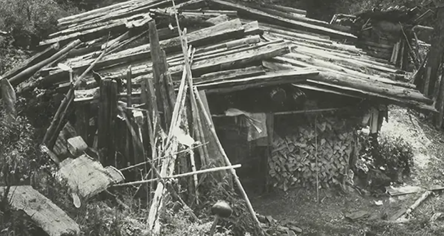 Gia đ&igrave;nh Lykov sống tự c&ocirc; lập giữa rừng từ năm 1936 kh&ocirc;ng biết thế giới b&ecirc;n ng&ograve;ai - Ảnh 4.