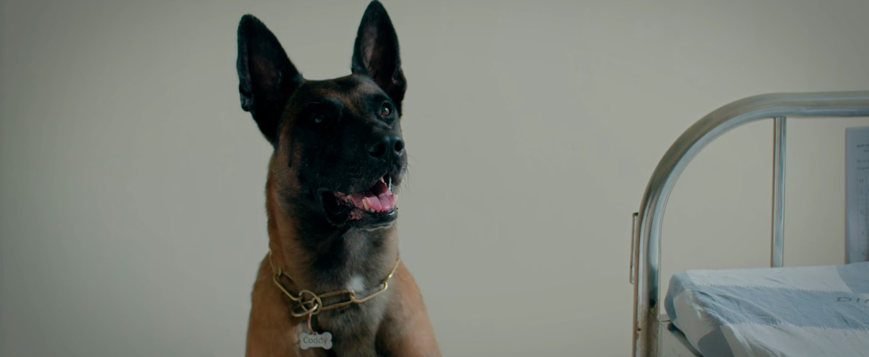 &ldquo;Hồng Đăng trở lại m&agrave;n ảnh l&agrave; c&aacute;i duy&ecirc;n, mong kh&aacute;n giả đ&oacute;n nhận&rdquo;- Ảnh 7.