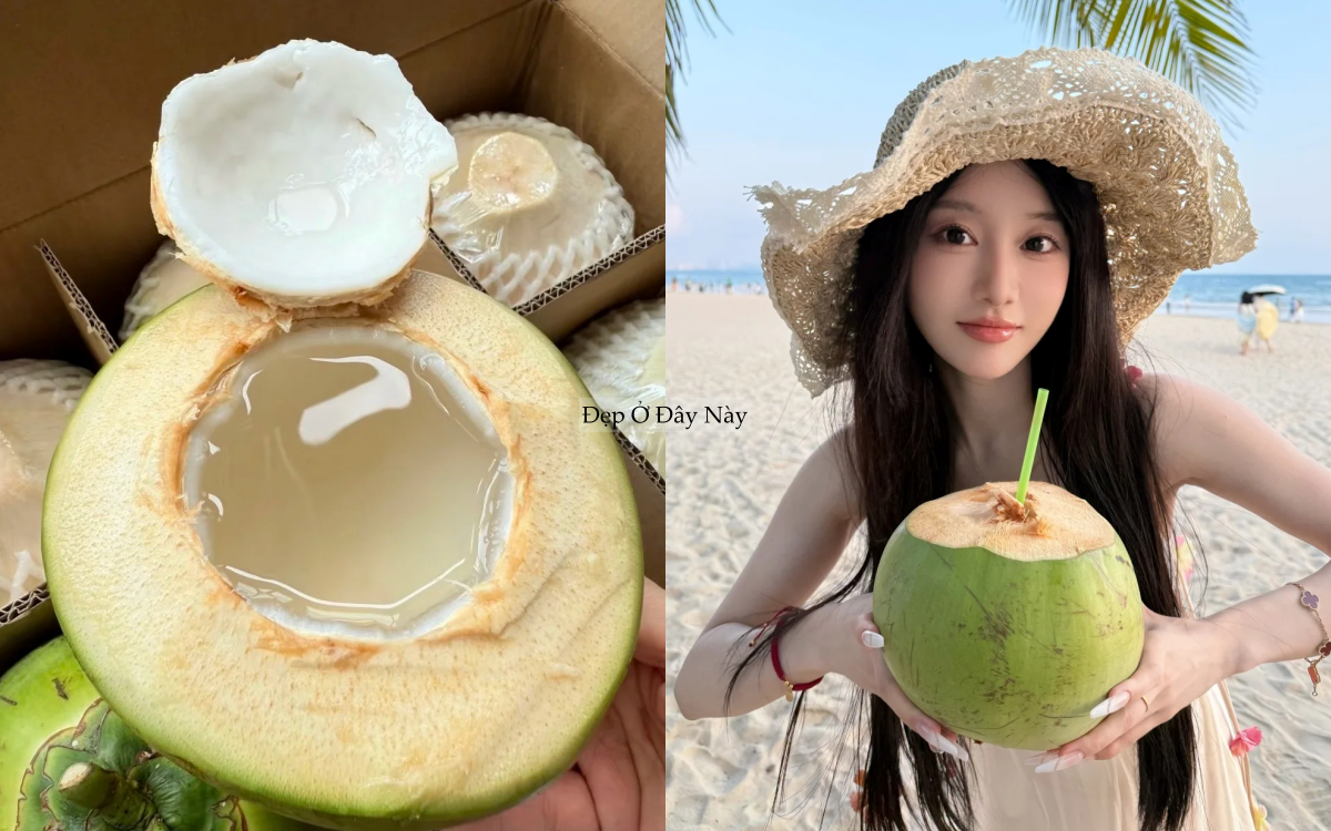 Bỏ qua tr&agrave; sữa m&agrave; uống 5 loại nước 