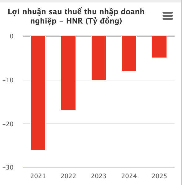 Halico thua lỗ nhưng tăng trưởng tiền gửi ng&acirc;n h&agrave;ng trong năm 2025 - Ảnh 1.