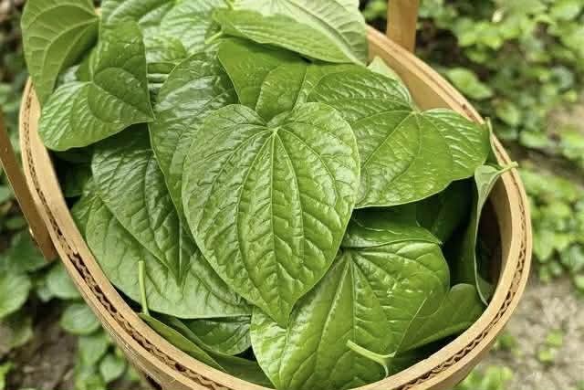 Đừng l&agrave;m chả l&aacute; lốt theo c&aacute;ch cũ nữa, thử ngay c&ocirc;ng thức mới toanh n&agrave;y ăn si&ecirc;u ngon lại gi&ograve;n rụm cực đ&atilde; - Ảnh 1.